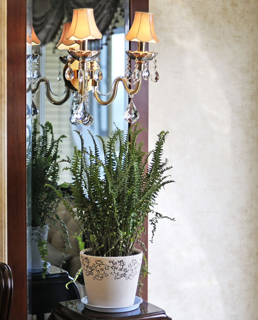 花草装饰.jpg 花草装饰.jpg